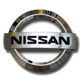 Nissan Color